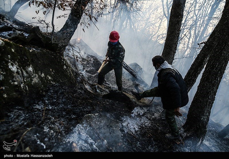 آخرین وضعیت آتش‌سوزی در جنگل‌های توسکستان/ تلاش‌ برای مهار پس از 6 روز/ حریق &quot;ذخیره‌گاه سرخدار&quot; را تهدید نمی‌کند