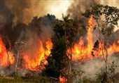 آتشی که شکارچیان به جان جنگل‌های گلستان انداختند؛ پیشروی حریق در یک منطقه ادامه دارد