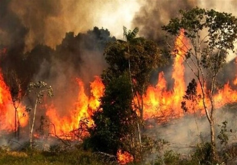 آتش کمبود امکانات، دامنگیر جنگل‌های گلستان/سازمان مدیریت بحران به قول‌هایش عمل کند