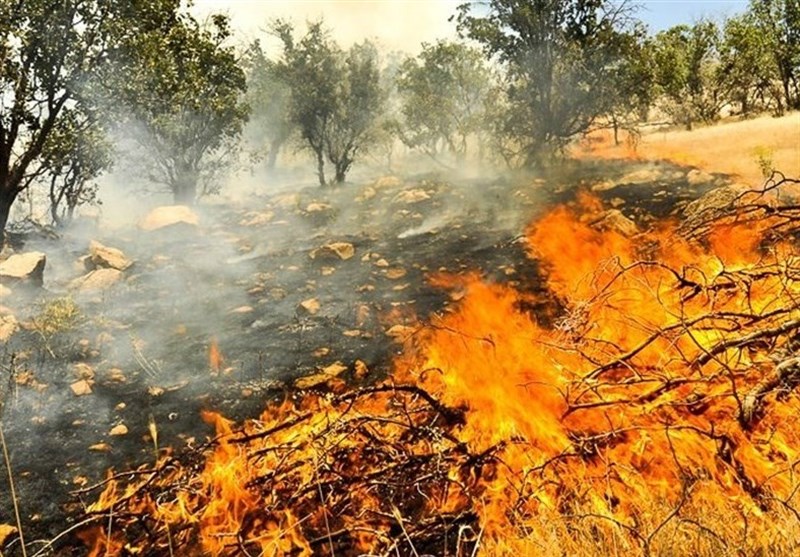 فیلم// آخرین وضعیت آتش‌سوزی جنگل &quot;توسکستان&quot;