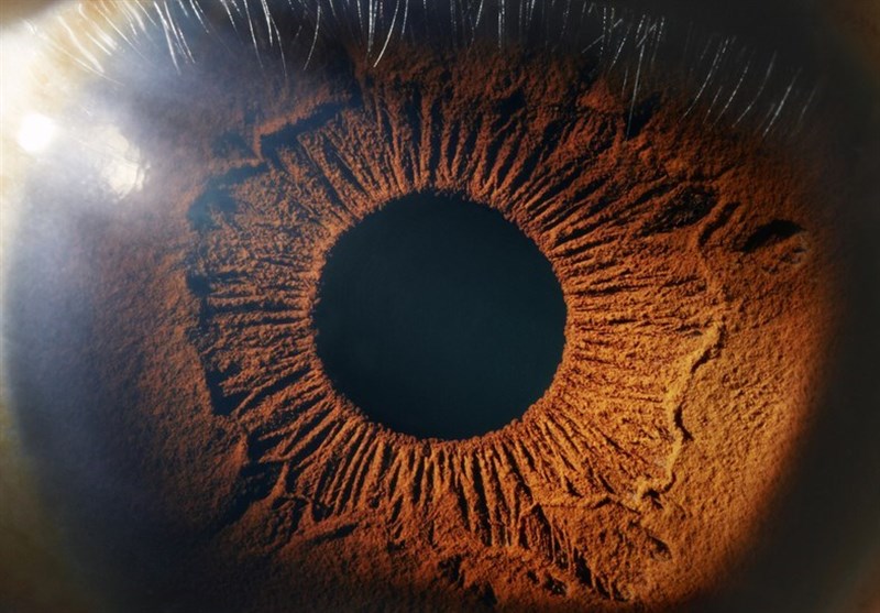 Scientists Successfully Regrow Optic Nerve Cells in ‘Impossible’ Breakthrough