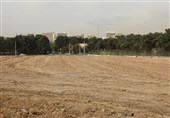 احداث بوستان در شهرک وصال منطقه 19 در آینده نزدیک