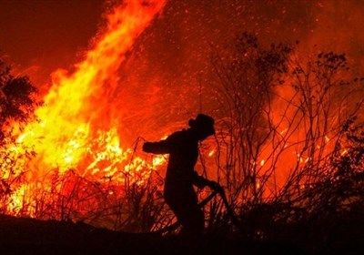  علت آتش‌سوزی جنگل " توسکستان " مشخص شد/ اعزام ۱۴۰ نیرو برای اطفاء حریق 