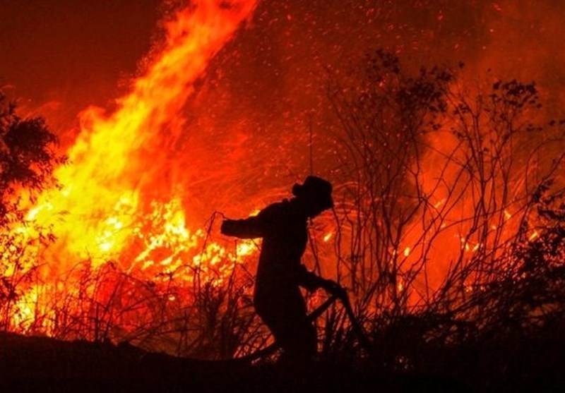استاندار گلستان: شعاع حریق در توسکستان به 3 کیلومتر رسید/نگران سرایت آتش به کوه‌های اطراف نیستیم/ آتش با ذخیره‌گاه &quot;سرخدار&quot; فاصله دارد