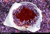 موفقیت ایران در ساخت &quot;سامانه هوشمند فرآوری گل زعفران&quot; برای نخستین بار در جهان! + فیلم