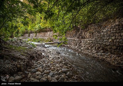 پاییز هزار رنگ در کرمانشاه