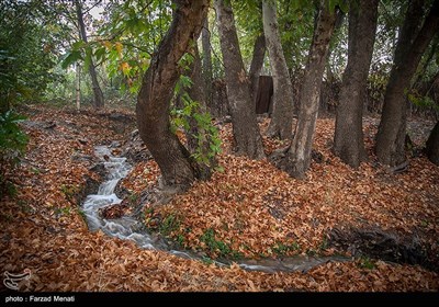 پاییز هزار رنگ در کرمانشاه