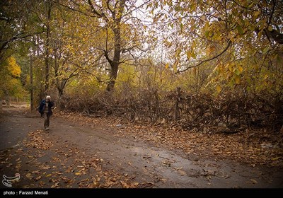 پاییز هزار رنگ در کرمانشاه