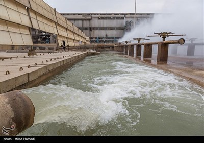 برداشت نیشکر از مزارع نیشکر دعبل خزاعی- خوزستان