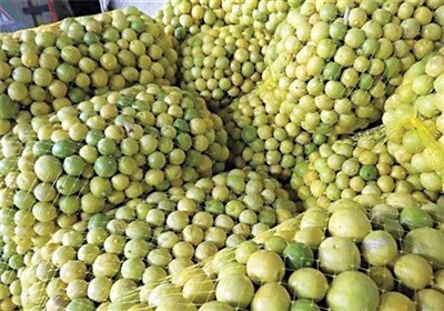 گلایه کشاورزان رودانی از قیمت پایین لیمو ترش