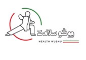 اجرای طرح «سفیر سلامت ووشو» در راستای توسعه همگانی این رشته