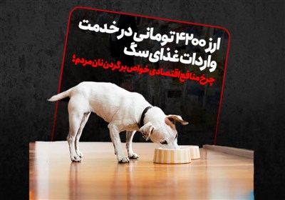 ارز 4200 تومانی در خدمت واردات غذای سگ