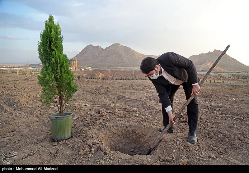 مراسم کاشت نهال به یاد شهدای خبرنگار و طلبه در استان مرکزی برگزار می‌شود