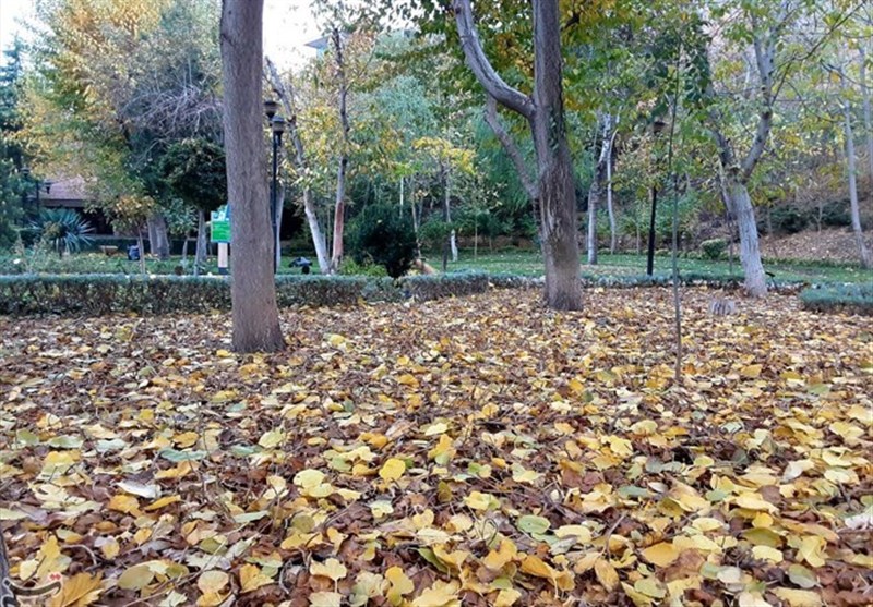 طبیعت زیبایی پاییزی در پارک شهید چمران کرج+تصاویر