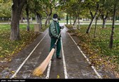 برگ های پاییزی