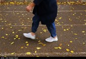 برگ های پاییزی