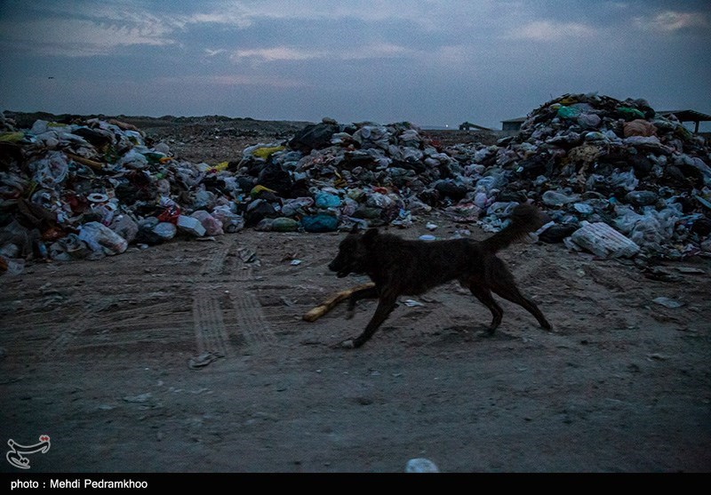 تولید روزانه 700 تن زباله در قزوین؛ ظرفیت سایت محمد آباد رو به اتمام است