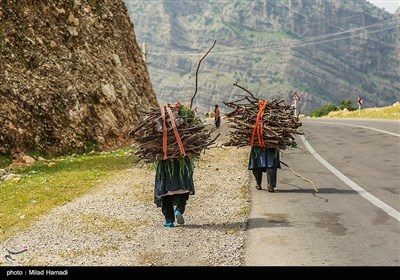  دختران این خانواده روزانه به چشمه‌ای که در پشت کوهستان قرار دارد رفته و آب می آورند وبرای پخت غذا و در زمستان برای گرم کردن خود از هیزوم های درخت بلوط از دل کوههای مشرف به محل سکونت آنها تهیه میکنند 