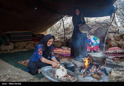 کنده های کُتُک سوخته در اندیکا خوزستان