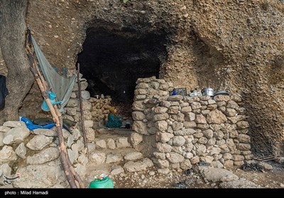 کنده های کُتُک سوخته در اندیکا خوزستان