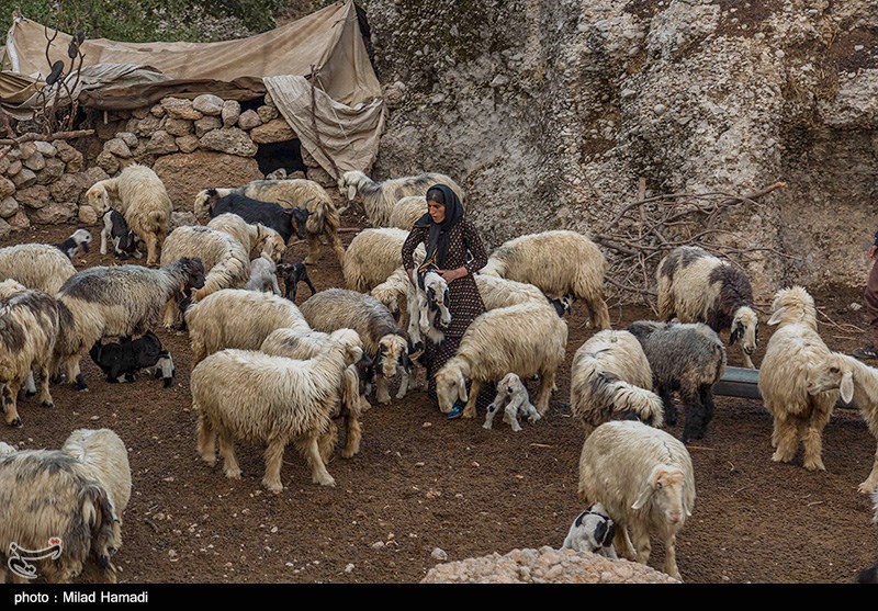 مصوبه سفر دولت به استان سمنان رنگ واقیعت به خود می‌گیرد