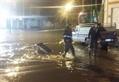 بارندگی در بوشهر سبب آبگرفتگی معابر شد+تصاویر