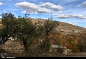 پاییز زیبای روستای رحق کاشان به روایت تصویر