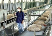 صادرات سیمان از استان بوشهر منوط به تامین نیاز داخلی است
