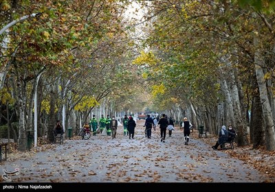 پاییز در پارک های مشهد