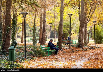 پاییز در پارک های مشهد