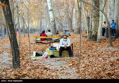 Fall Foliage in Parks Attracts People in Mashhad