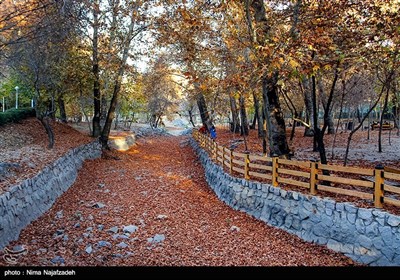 Fall Foliage in Parks Attracts People in Mashhad