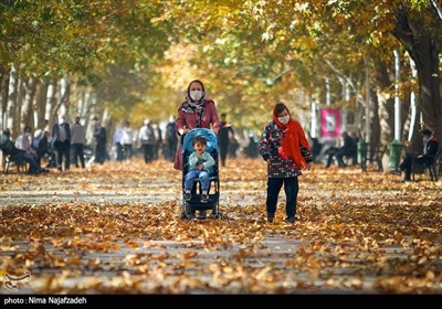 جلوه پاییز در بوستان های مشهد