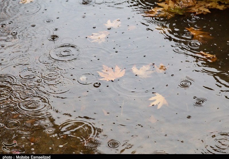 بارش باران پاییزی در ارومیه به روایت تصویر