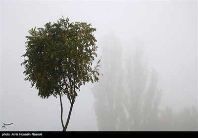 زنجان در مه