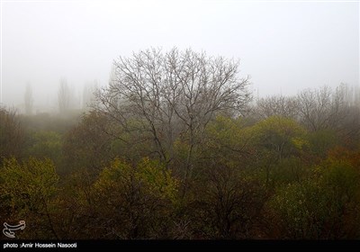 زنجان در مه