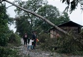 Hurricane Iota Causes Flooding in Honduras, Nicaragua (+Video)