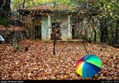 پاییز در ارتفاعات جماران