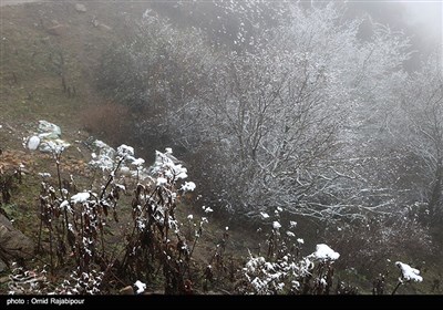 برف پاییزی در ارتفاغات رودسر