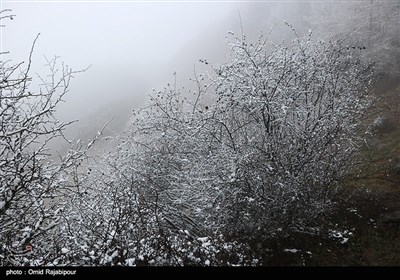 برف پاییزی در ارتفاغات رودسر