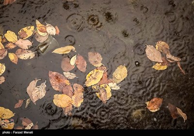 بارش باران در کرمانشاه