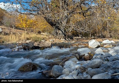 طبیعت پاییزی الشتر - لرستان