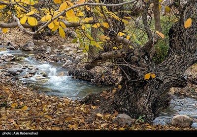 طبیعت پاییزی الشتر - لرستان