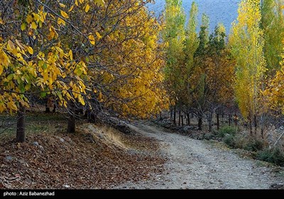 طبیعت پاییزی الشتر - لرستان