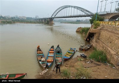 ``پل سفید اهواز میزبان پرندگان مهاجر