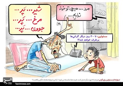 کاریکاتور/ تنها راهکار مسئولین برایگرانی؛ مردم تا 20روز دیگر تحملکنند، قیمتها شکسته میشود