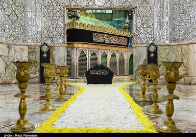 شهر قم در جشن میلاد امام رضا(ع) غرق در نور و شادی است