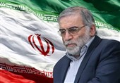 نظر دانشمند کرمانشاهی درباره ترور شهید فخری‌زاده/ راه مقابله با ترور تقویت کشور در تمام زمینه‌هاست