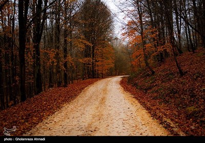 طبیعت پاییزی بهشهر مازندران