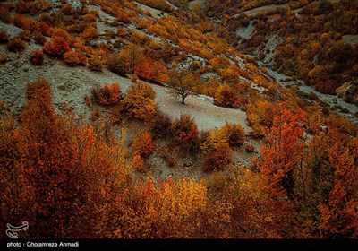 طبیعت پاییزی بهشهر مازندران